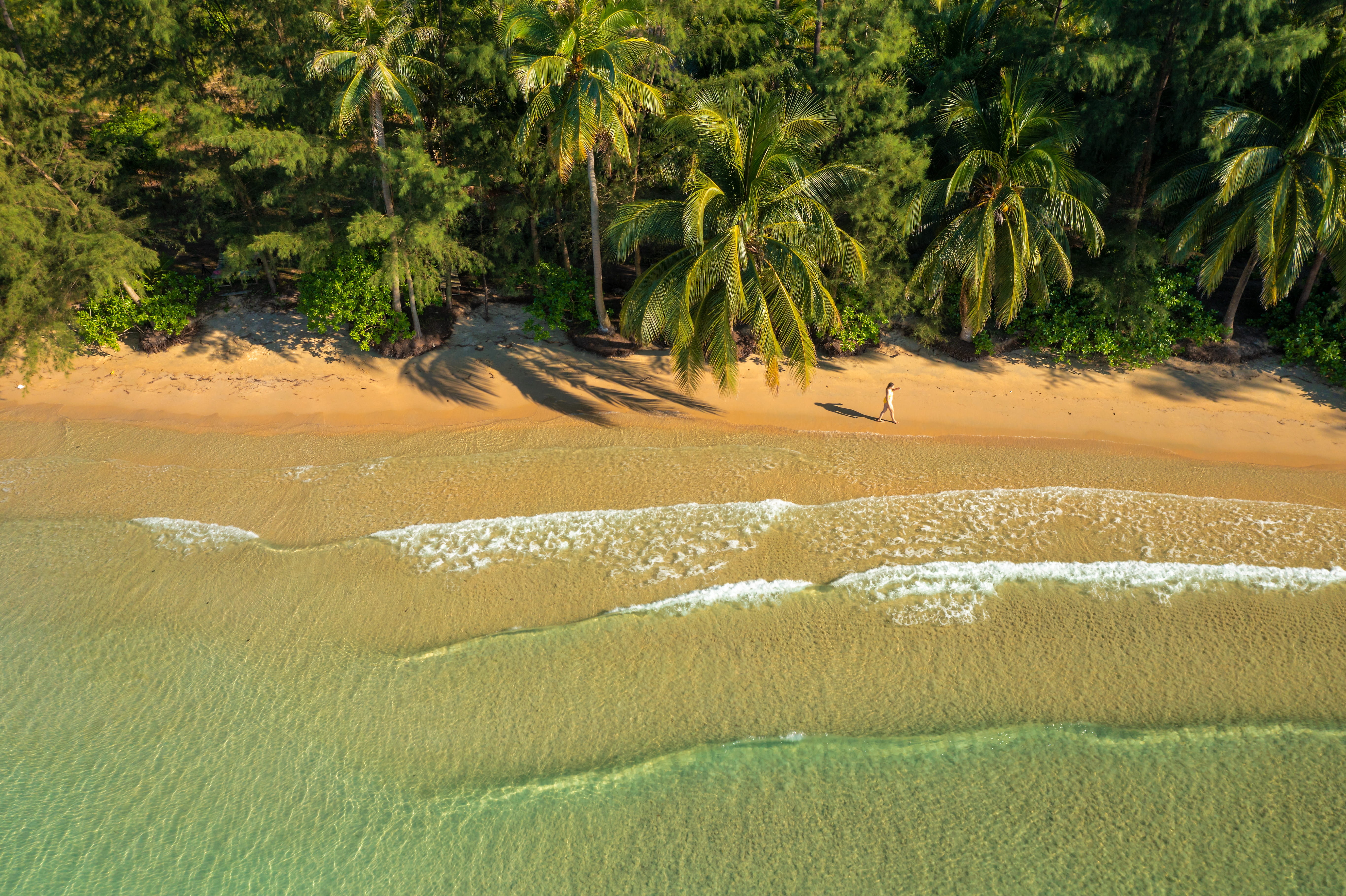 Kambodża wycieczka - plaża i palmy na wyspie Koh Rong.jpg
